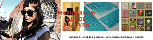 сатива Беломорск