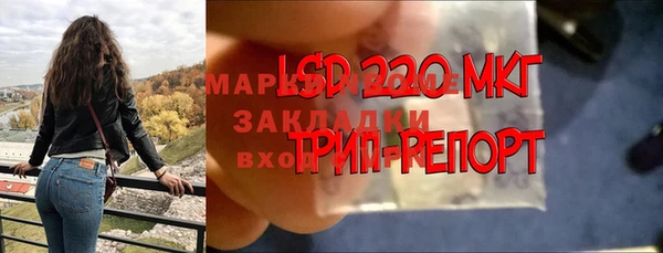 тгк Богородицк