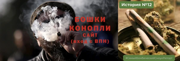 сатива Беломорск